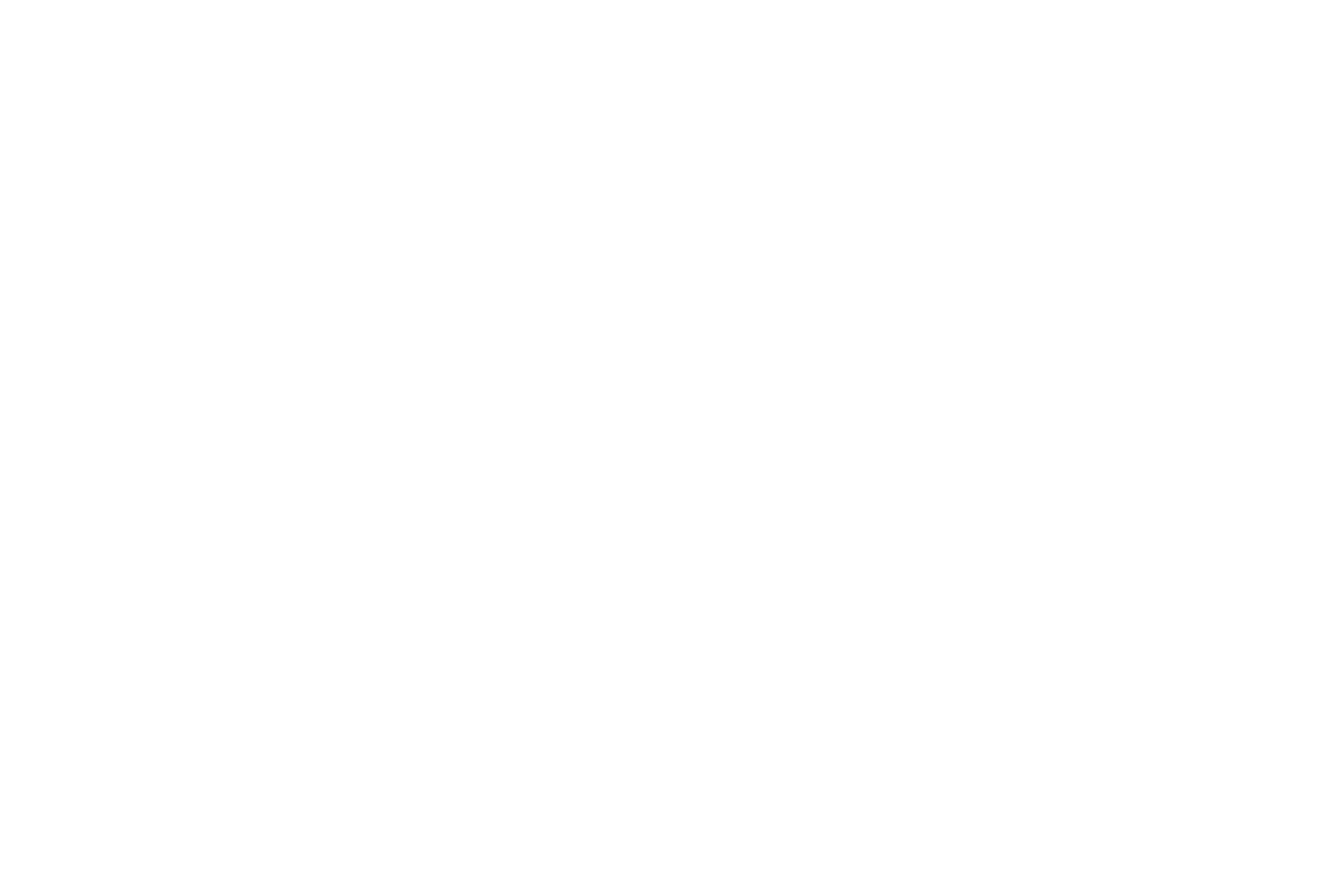 Laura Ballo Coaching